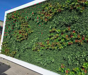 2LIf_BALSESsoGHczkx8uQ-1