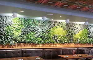 Growup-living-greenwall-system-hospitality