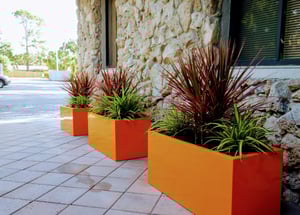 JAYSCOTTPLANTERUPSCAPERSWHOLESALER