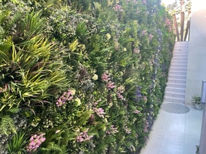 LA Exterior Residential Pink Hops Spring Pink Lavender Color Boxes Green Grasses