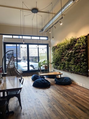 Living Wall - Live Wall - Modular Tray System