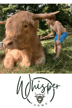 Untitled design (20)