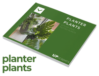 UpScapers Biophilic Design Look Book (9)