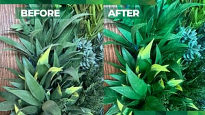 dustrx-before-after-faux-greenery-cleaner