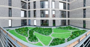 green-roof-vistafolia-green-roof-system