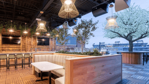 nashvillelive-ava-vistafolia-upscapers