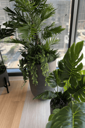 planters