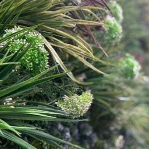 queen-annes-lace-fake-outdoor-plants400x400