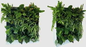 wall-mounted-prehung-greenwall