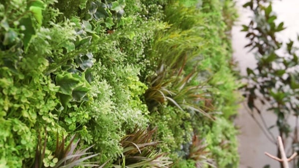 How the VistaFolia by VistaGreen, Green Wall System Works