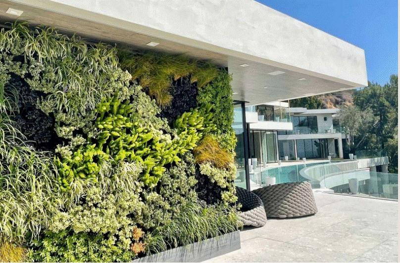 Modular Living Wall, Green Wall System